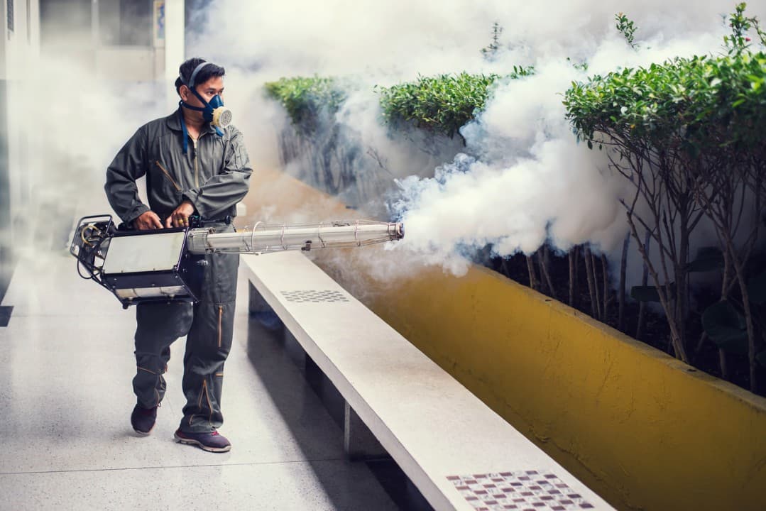 General Pest Control - Professional Pest Control