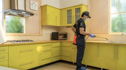 Comprehensive Home Pest Control