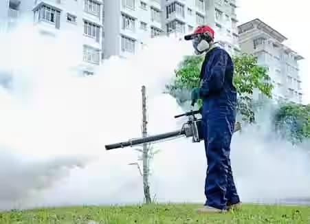 Commercial Fly Control