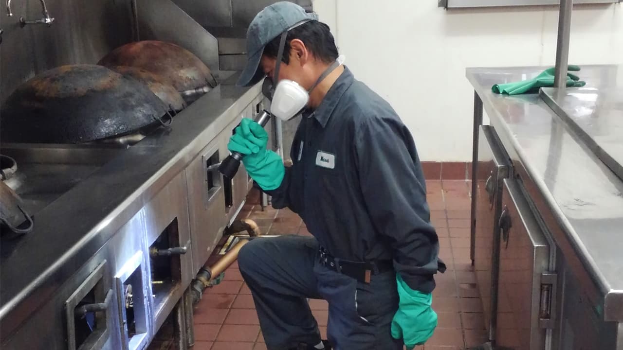 Restaurant & Food Service Pest Control