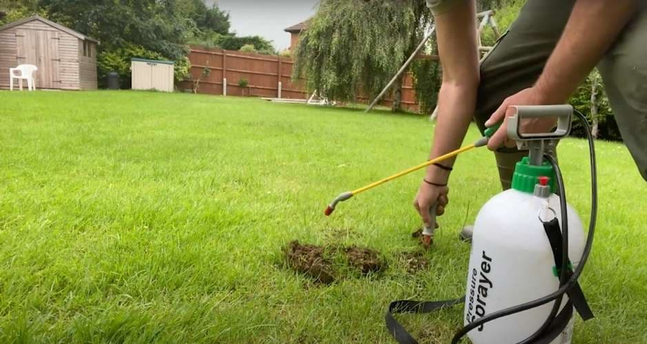 General Pest Control