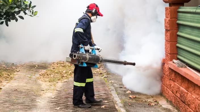 Industrial Pest Control