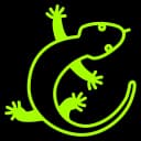 House Lizards Pest Control