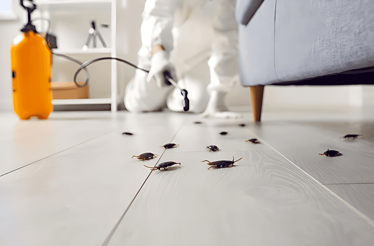 Residential Pest Control