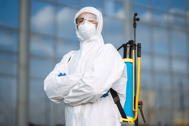 Trusted Silverfish Control Experts